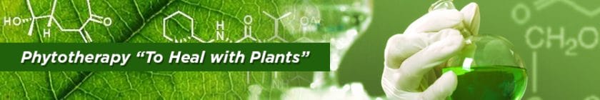 To heal with plants banner