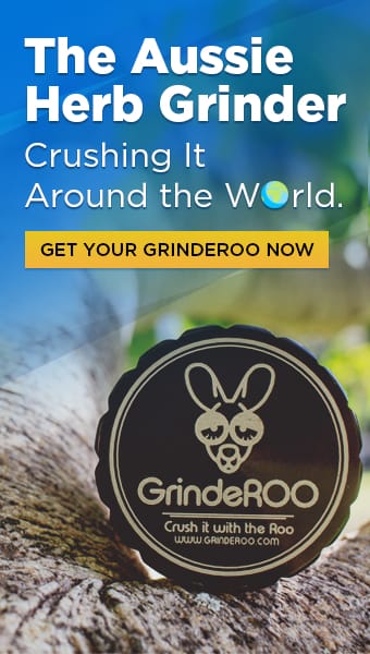 GrindeROO Side Bar Ad VF